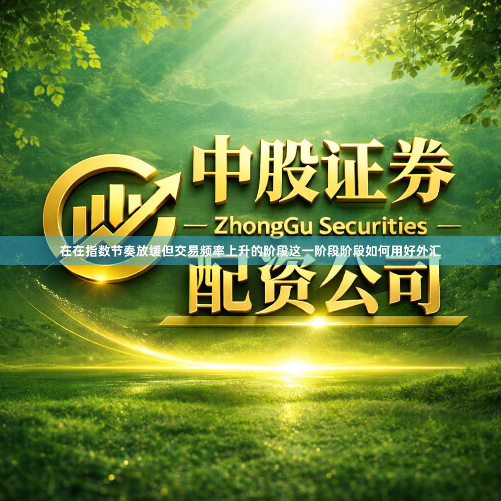 在在指数节奏放缓但交易频率上升的阶段这一阶段阶段如何用好外汇