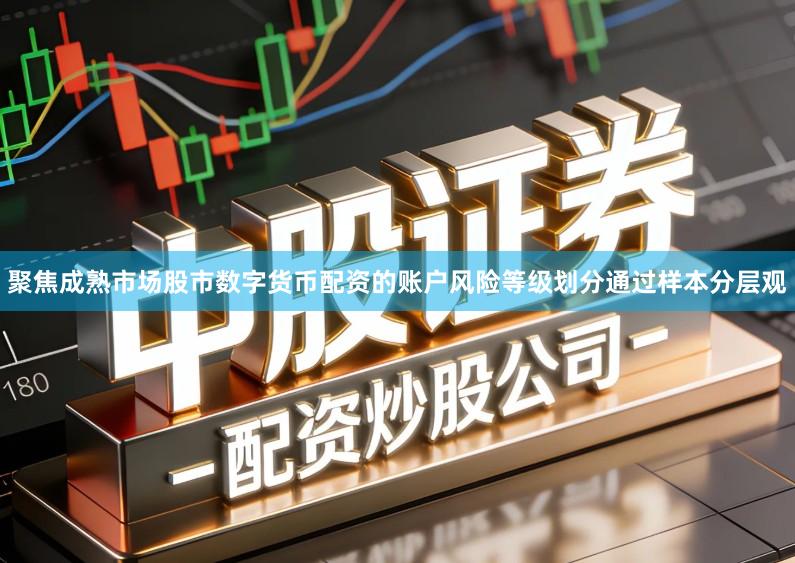 聚焦成熟市场股市数字货币配资的账户风险等级划分通过样本分层观