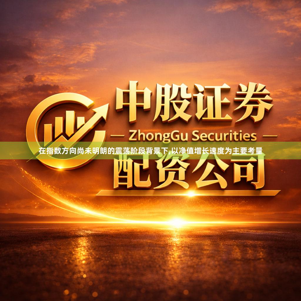 在指数方向尚未明朗的震荡阶段背景下,以净值增长速度为主要考量